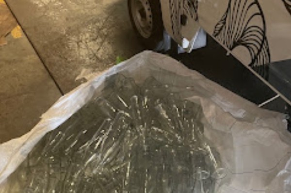 Screenshot 2026 04 11 12.24.54