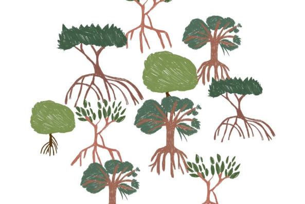 Screenshot 2026 04 11 13.41.51